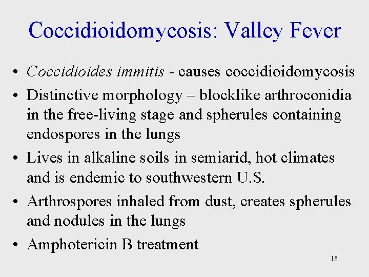 Coccidioidomycosis: Valley Fever • Coccidioides immitis - causes coccidioidomycosis • Distinctive morphology – blocklike