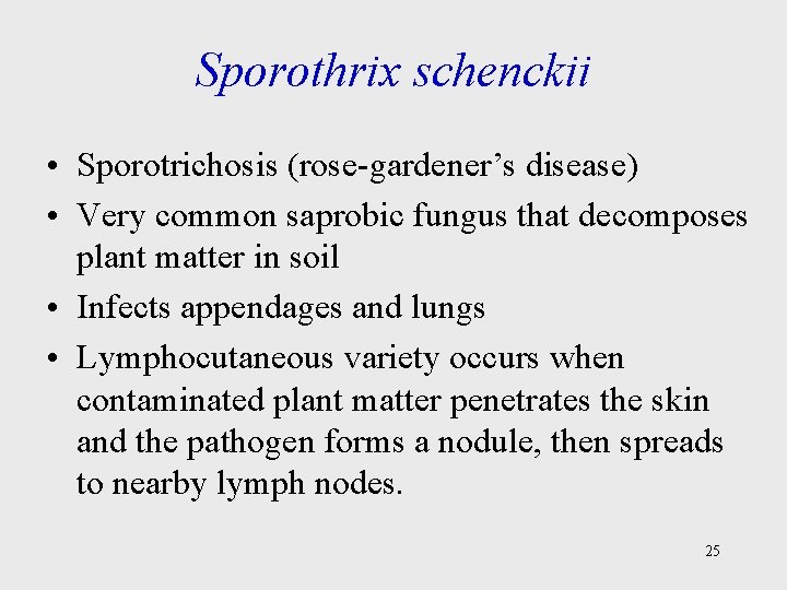 Sporothrix schenckii • Sporotrichosis (rose-gardener’s disease) • Very common saprobic fungus that decomposes plant