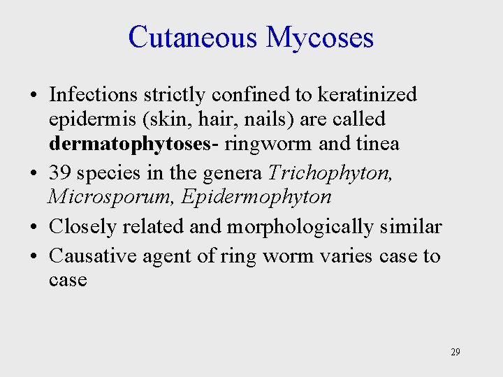 Cutaneous Mycoses • Infections strictly confined to keratinized epidermis (skin, hair, nails) are called