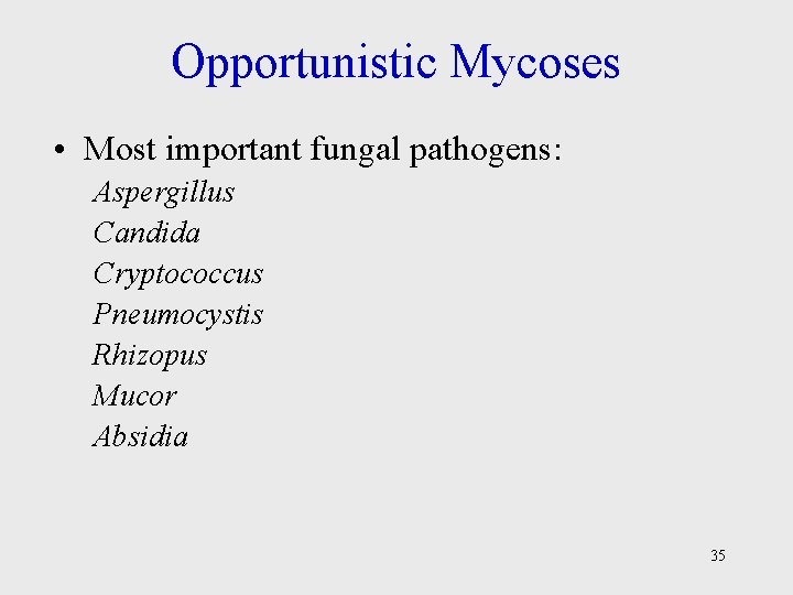 Opportunistic Mycoses • Most important fungal pathogens: Aspergillus Candida Cryptococcus Pneumocystis Rhizopus Mucor Absidia