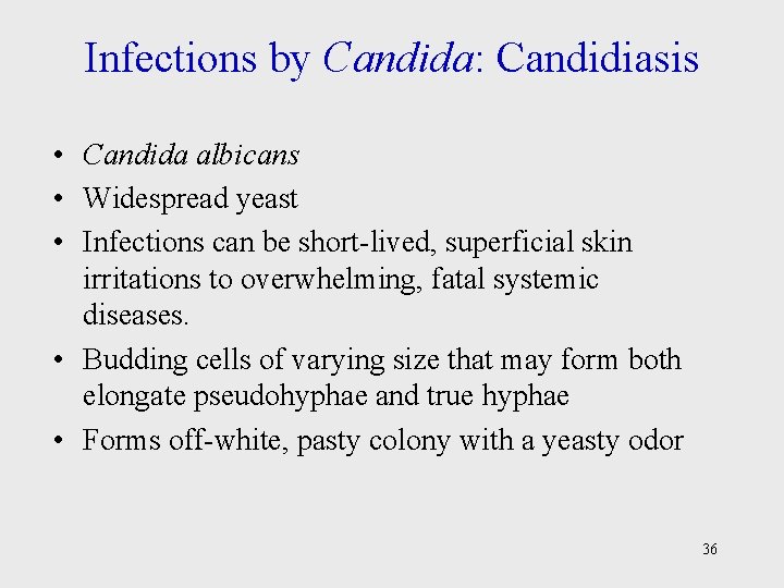 Infections by Candida: Candidiasis • Candida albicans • Widespread yeast • Infections can be