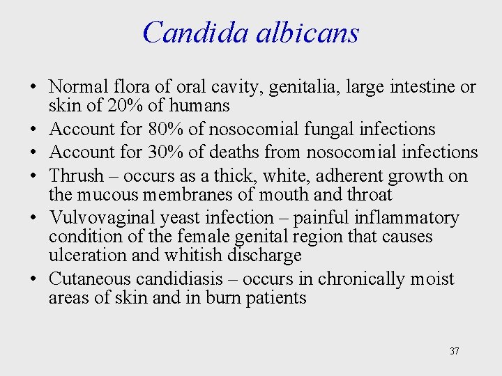 Candida albicans • Normal flora of oral cavity, genitalia, large intestine or skin of