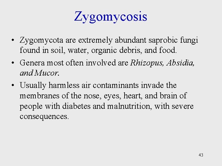 Zygomycosis • Zygomycota are extremely abundant saprobic fungi found in soil, water, organic debris,
