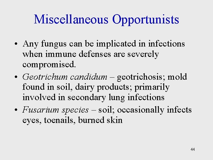 Miscellaneous Opportunists • Any fungus can be implicated in infections when immune defenses are