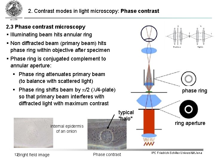 2. Contrast modes in light microscopy: Phase contrast 2. 3 Phase contrast microscopy §