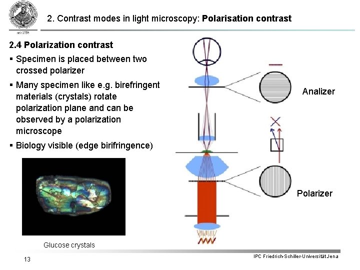 2. Contrast modes in light microscopy: Polarisation contrast 2. 4 Polarization contrast § Specimen 2. Contrast modes in light microscopy: Polarisation contrast 2. 4 Polarization contrast § Specimen