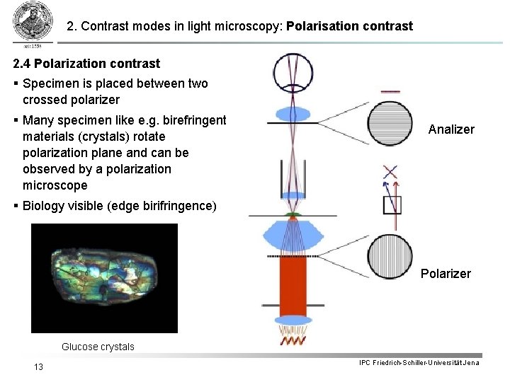 2. Contrast modes in light microscopy: Polarisation contrast 2. 4 Polarization contrast § Specimen