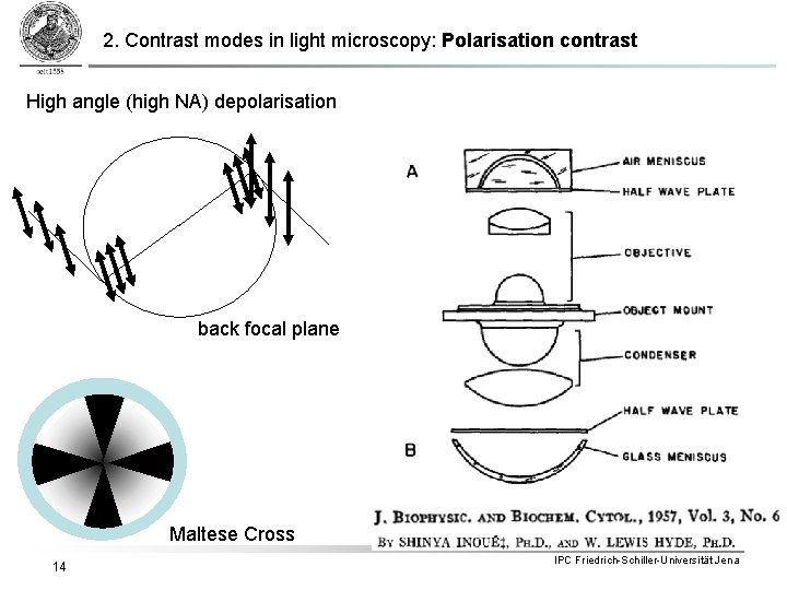 2. Contrast modes in light microscopy: Polarisation contrast High angle (high NA) depolarisation back