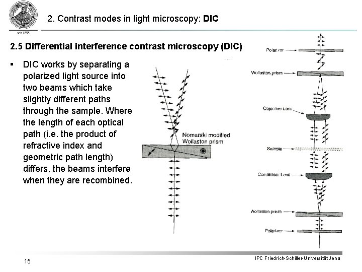 2. Contrast modes in light microscopy: DIC 2. 5 Differential interference contrast microscopy (DIC) 2. Contrast modes in light microscopy: DIC 2. 5 Differential interference contrast microscopy (DIC)