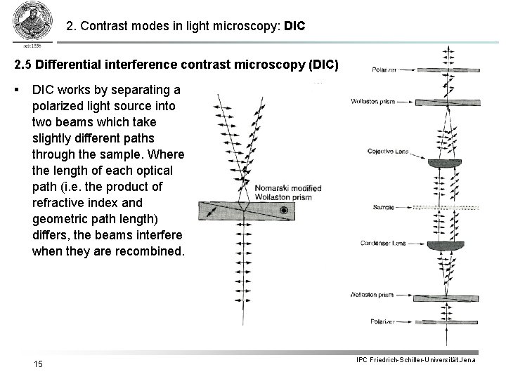 2. Contrast modes in light microscopy: DIC 2. 5 Differential interference contrast microscopy (DIC)