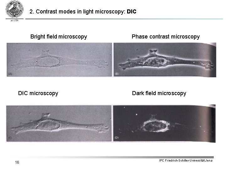 2. Contrast modes in light microscopy: DIC Bright field microscopy DIC microscopy 16 Phase