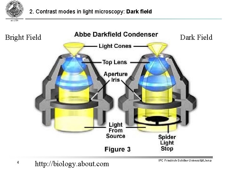 2. Contrast modes in light microscopy: Dark field Bright Field 4 http: //biology. about.