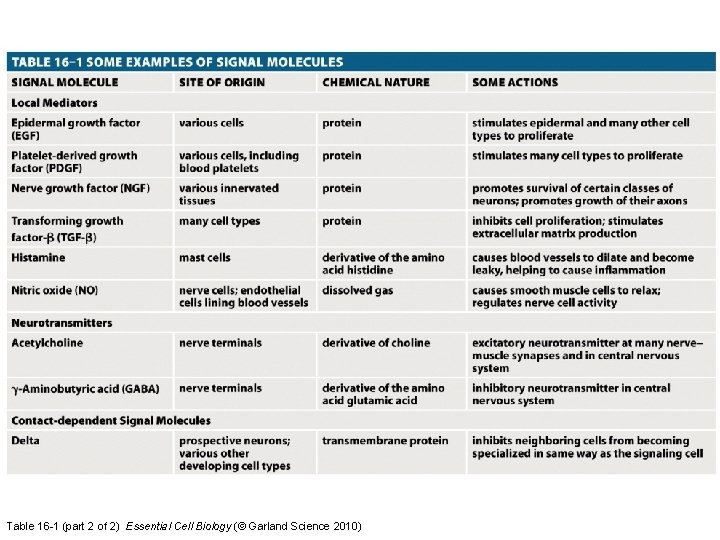 Table 16 -1 (part 2 of 2) Essential Cell Biology (© Garland Science 2010)