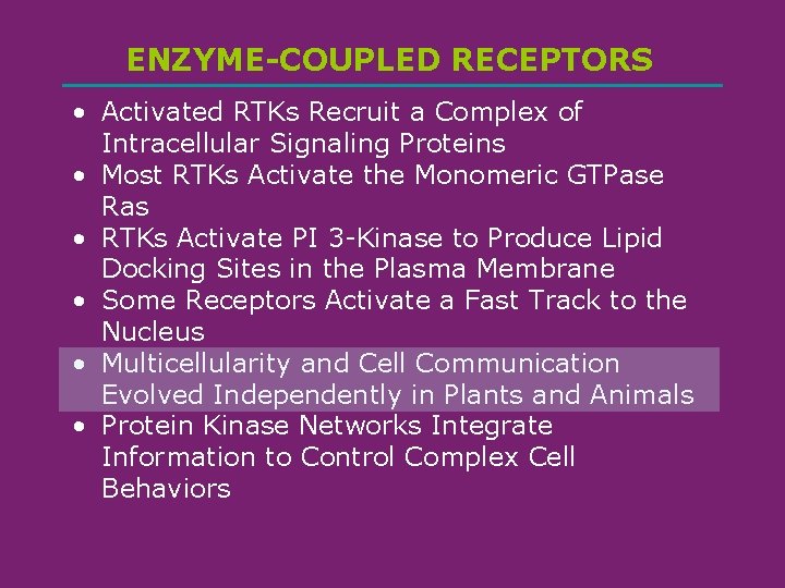 ENZYME-COUPLED RECEPTORS • Activated RTKs Recruit a Complex of Intracellular Signaling Proteins • Most