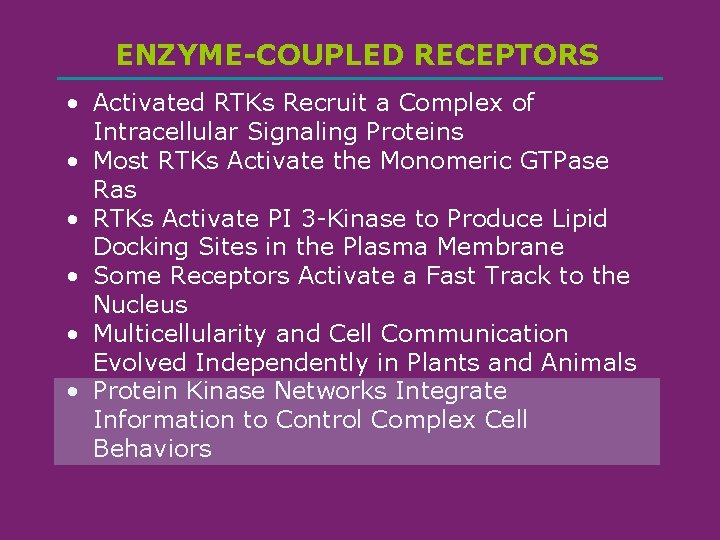 ENZYME-COUPLED RECEPTORS • Activated RTKs Recruit a Complex of Intracellular Signaling Proteins • Most
