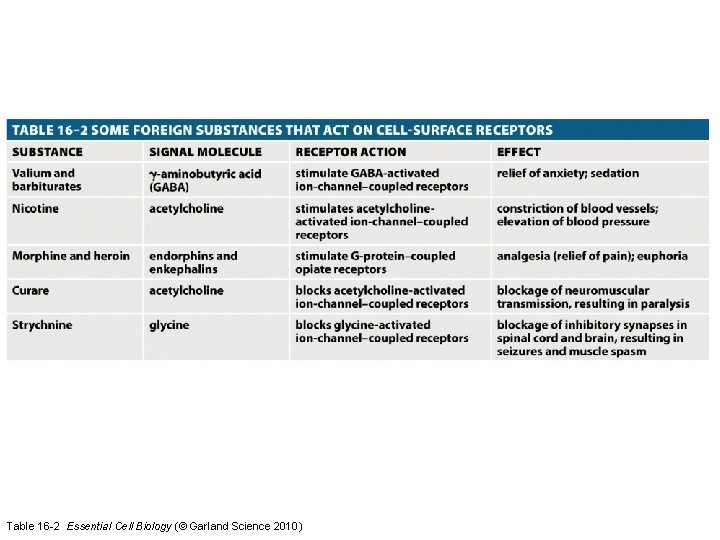 Table 16 -2 Essential Cell Biology (© Garland Science 2010) 