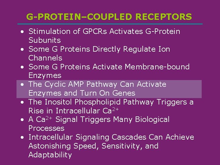 G-PROTEIN–COUPLED RECEPTORS • Stimulation of GPCRs Activates G-Protein Subunits • Some G Proteins Directly