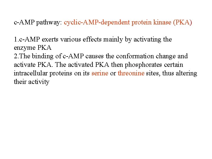 c-AMP pathway: cyclic-AMP-dependent protein kinase (PKA) 1. c-AMP exerts various effects mainly by activating