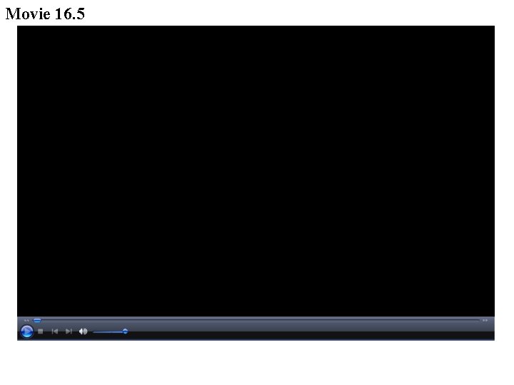 Movie 16. 5 
