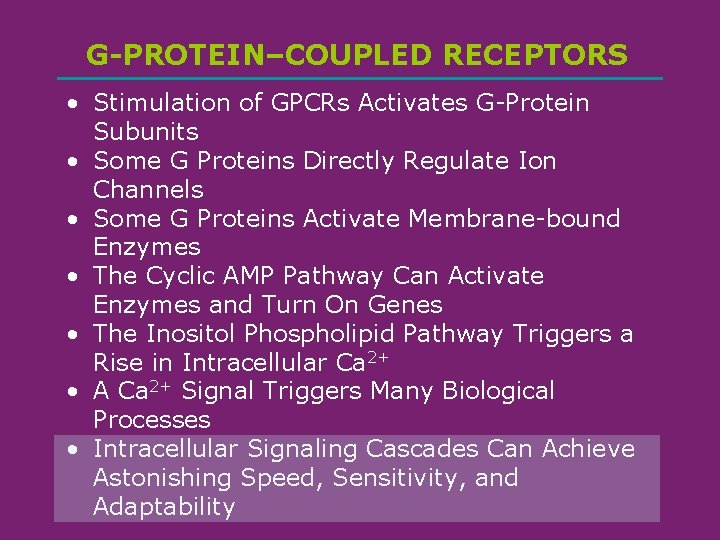 G-PROTEIN–COUPLED RECEPTORS • Stimulation of GPCRs Activates G-Protein Subunits • Some G Proteins Directly