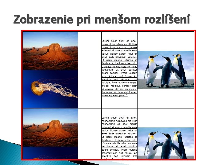 Zobrazenie pri menšom rozlíšení 