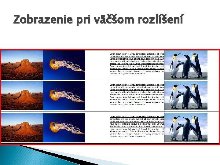 Zobrazenie pri väčšom rozlíšení 