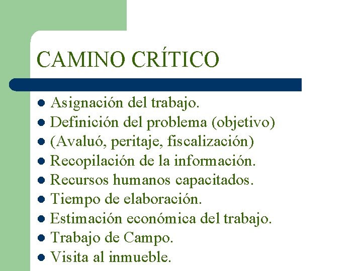 CAMINO CRÍTICO Asignación del trabajo. l Definición del problema (objetivo) l (Avaluó, peritaje, fiscalización)