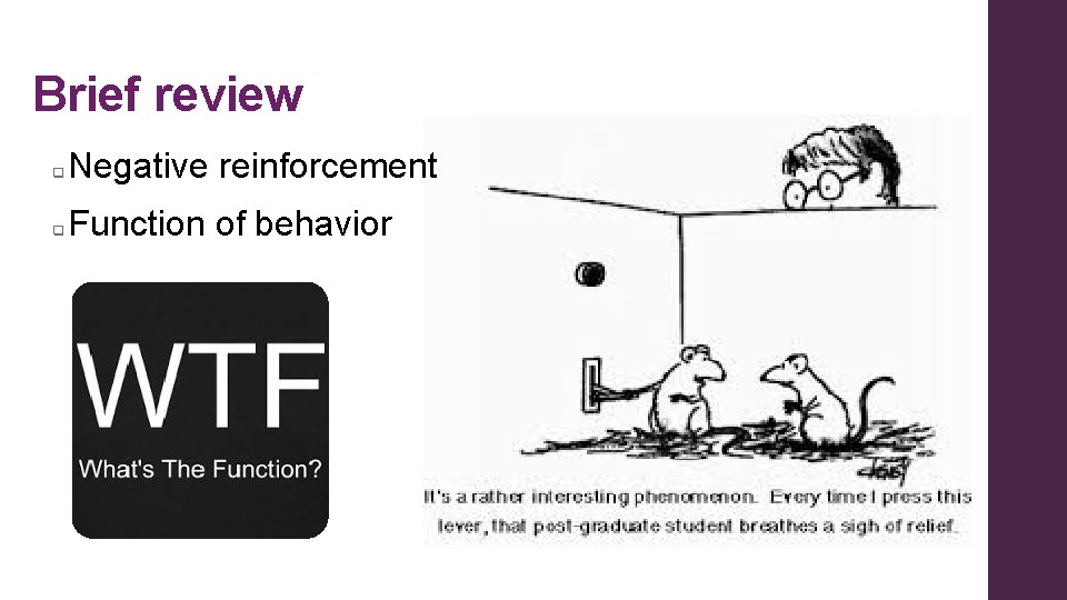 Brief review q Negative reinforcement q Function of behavior 