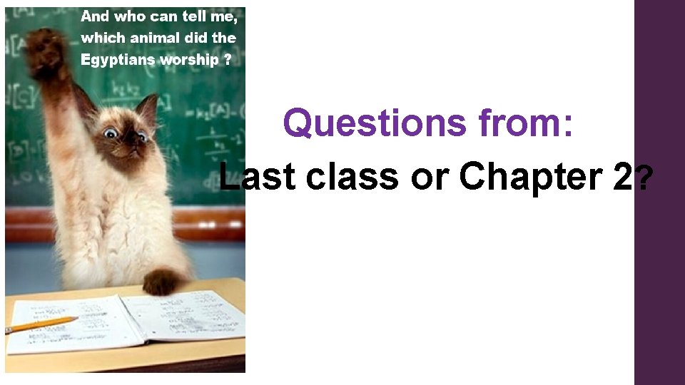Questions from: Last class or Chapter 2? 