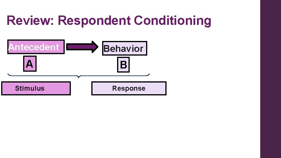 Review: Respondent Conditioning Antecedent A Stimulus Behavior B Response 