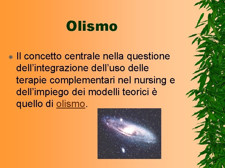 Olismo Il concetto centrale nella questione dell’integrazione dell’uso delle terapie complementari nel nursing e