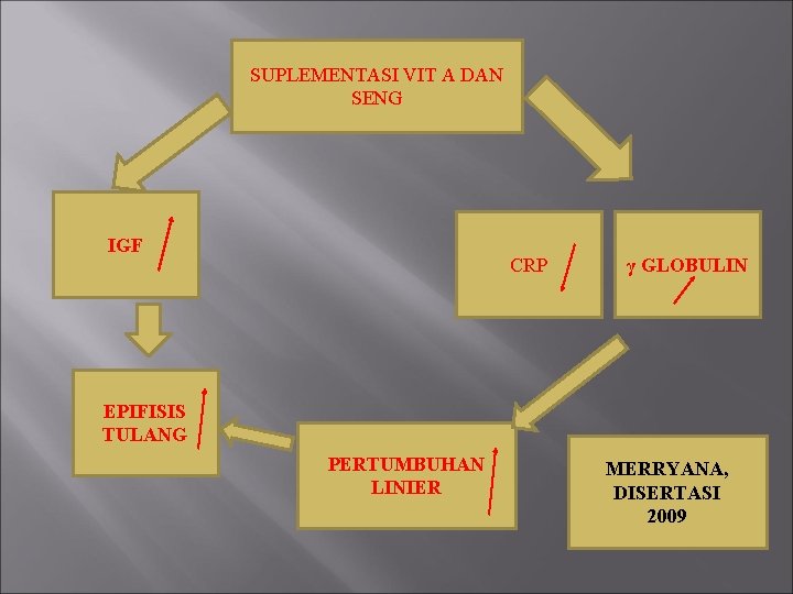 SUPLEMENTASI VIT A DAN SENG IGF CRP γ GLOBULIN EPIFISIS TULANG PERTUMBUHAN LINIER MERRYANA,