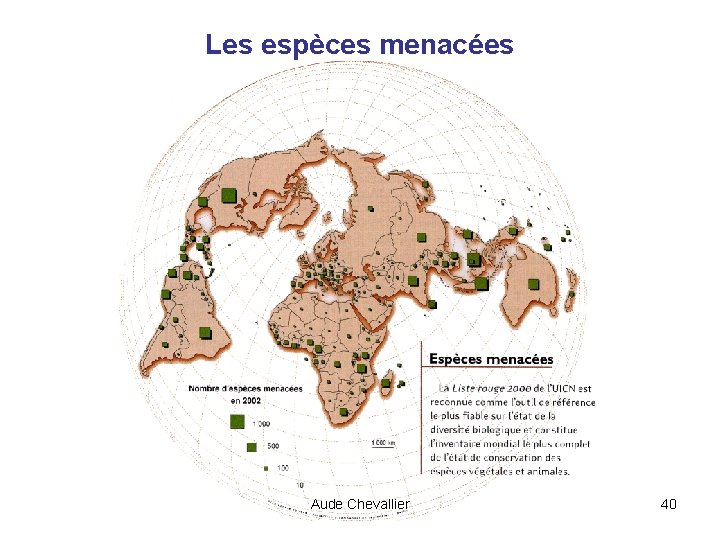 Les espèces menacées Aude Chevallier 40 