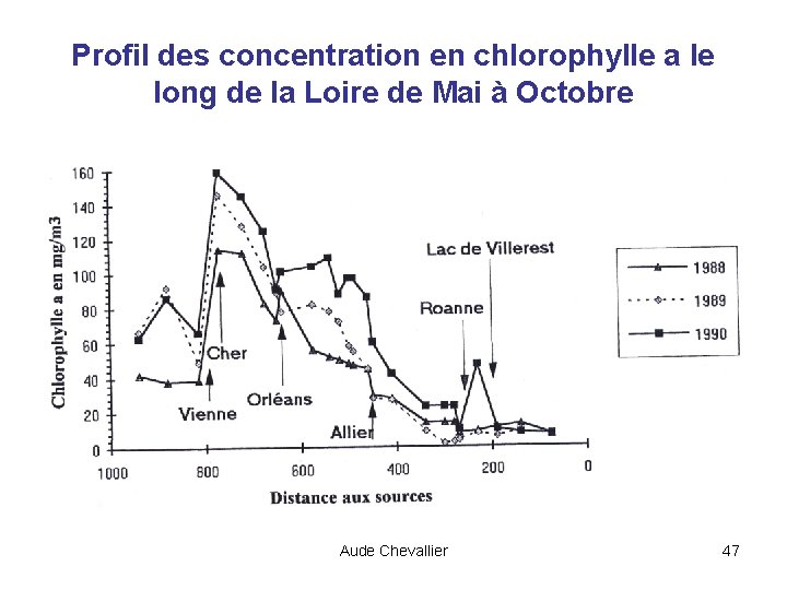 Profil des concentration en chlorophylle a le long de la Loire de Mai à