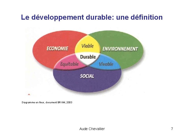 Le développement durable: une définition Diagramme en fleur, document BRGM, 2003 Aude Chevallier 7