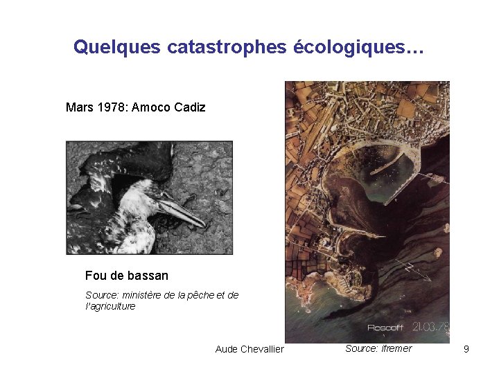 Quelques catastrophes écologiques… Mars 1978: Amoco Cadiz Fou de bassan Source: ministère de la