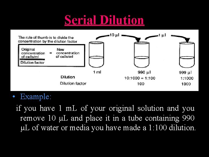 Serial Dilution • Example: if you have 1 m. L of your original solution