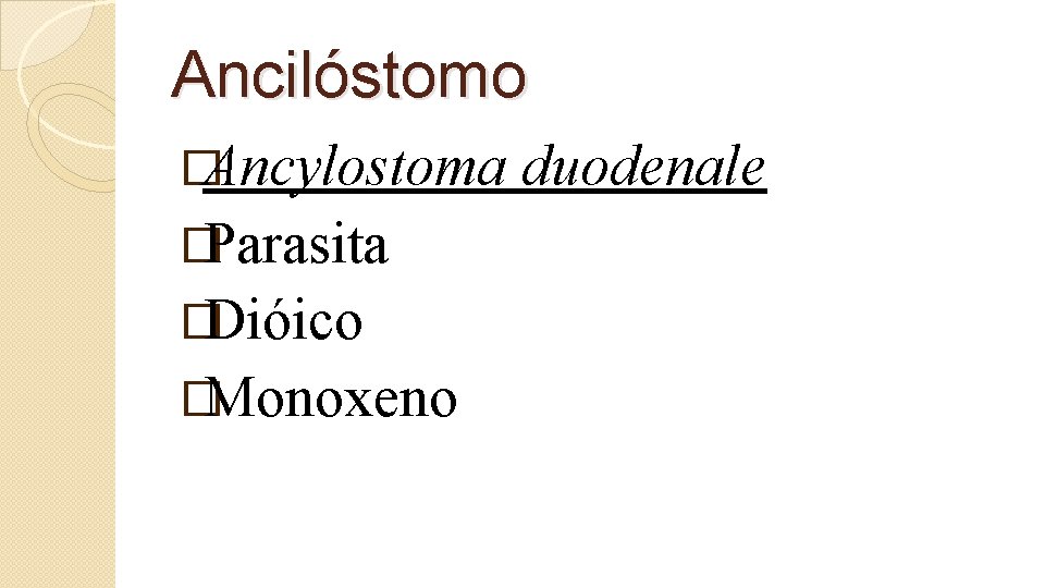 Ancilóstomo �Ancylostoma �Parasita �Dióico �Monoxeno duodenale 