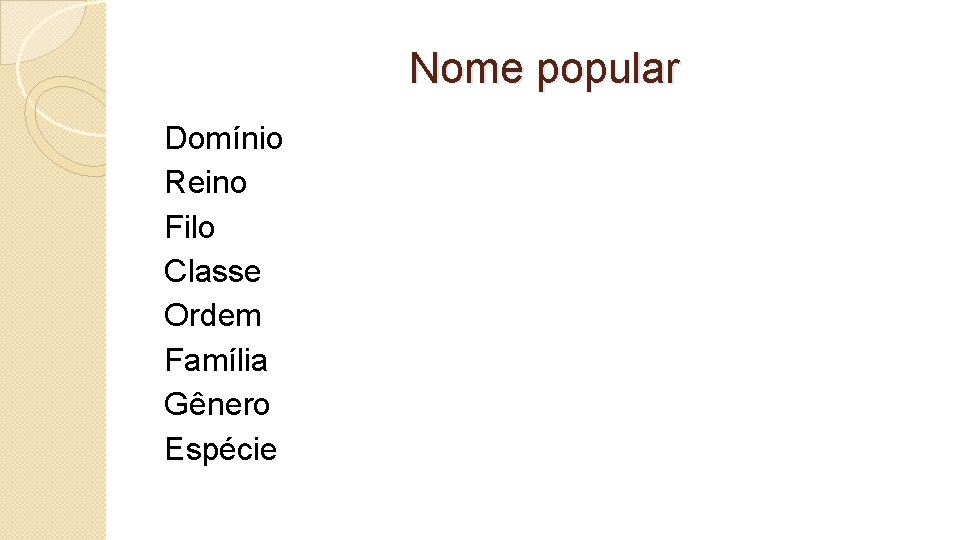 Nome popular Domínio Reino Filo Classe Ordem Família Gênero Espécie 