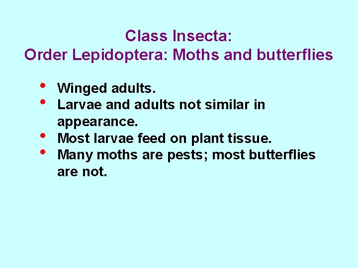 Class Insecta: Order Lepidoptera: Moths and butterflies • • Winged adults. Larvae and adults