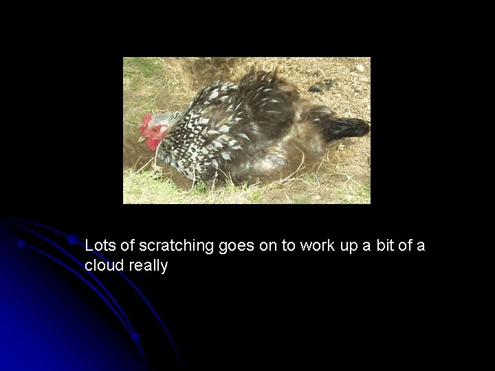 Lots of scratching goes on to work up a bit of a cloud really