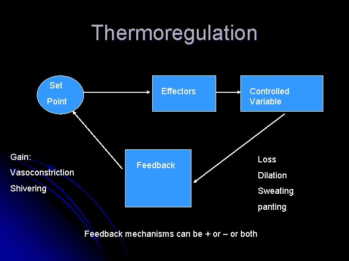Thermoregulation Set Effectors Point Gain: Vasoconstriction Controlled Variable Feedback Loss Dilation Shivering Sweating panting