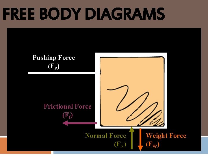 FREE BODY DIAGRAMS Pushing Force (FP) Frictional Force (Ff) Normal Force (FN) Weight Force