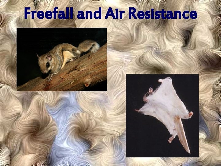 Freefall and Air Resistance 