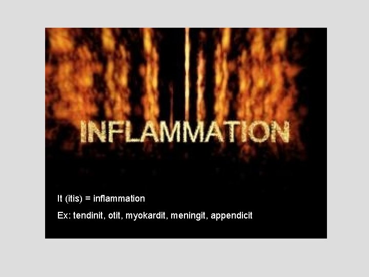 It (itis) = inflammation Ex: tendinit, otit, myokardit, meningit, appendicit 