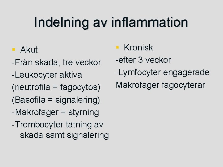 Indelning av inflammation § Akut -Från skada, tre veckor -Leukocyter aktiva (neutrofila = fagocytos)