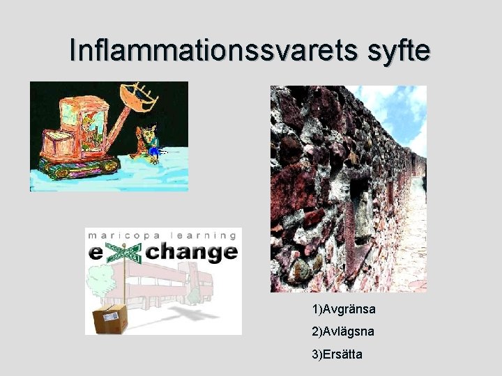 Inflammationssvarets syfte 1)Avgränsa 2)Avlägsna 3)Ersätta 