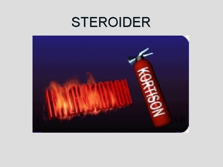 STEROIDER 