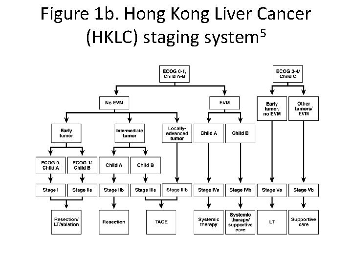 Figure 1 b. Hong Kong Liver Cancer (HKLC) staging system 5 