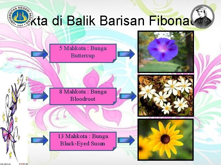 Fakta di Balik Barisan Fibonacci 5 Mahkota : Bunga Buttercup 8 Mahkota : Bunga